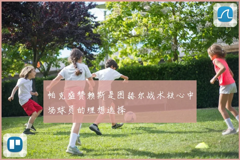 帕克盛赞赖斯是图赫尔战术核心中场球员的理想选择