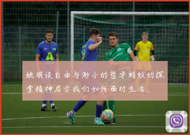 姚明谈自由与渺小的哲学蚂蚁的探索精神启示我们如何面对生活